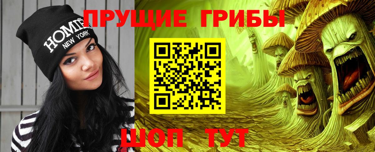 Псилоцибиновые грибы GOLDEN TEACHER  Вход с VPN  Галлюциногенные грибы Psilocybe  Вичуга 